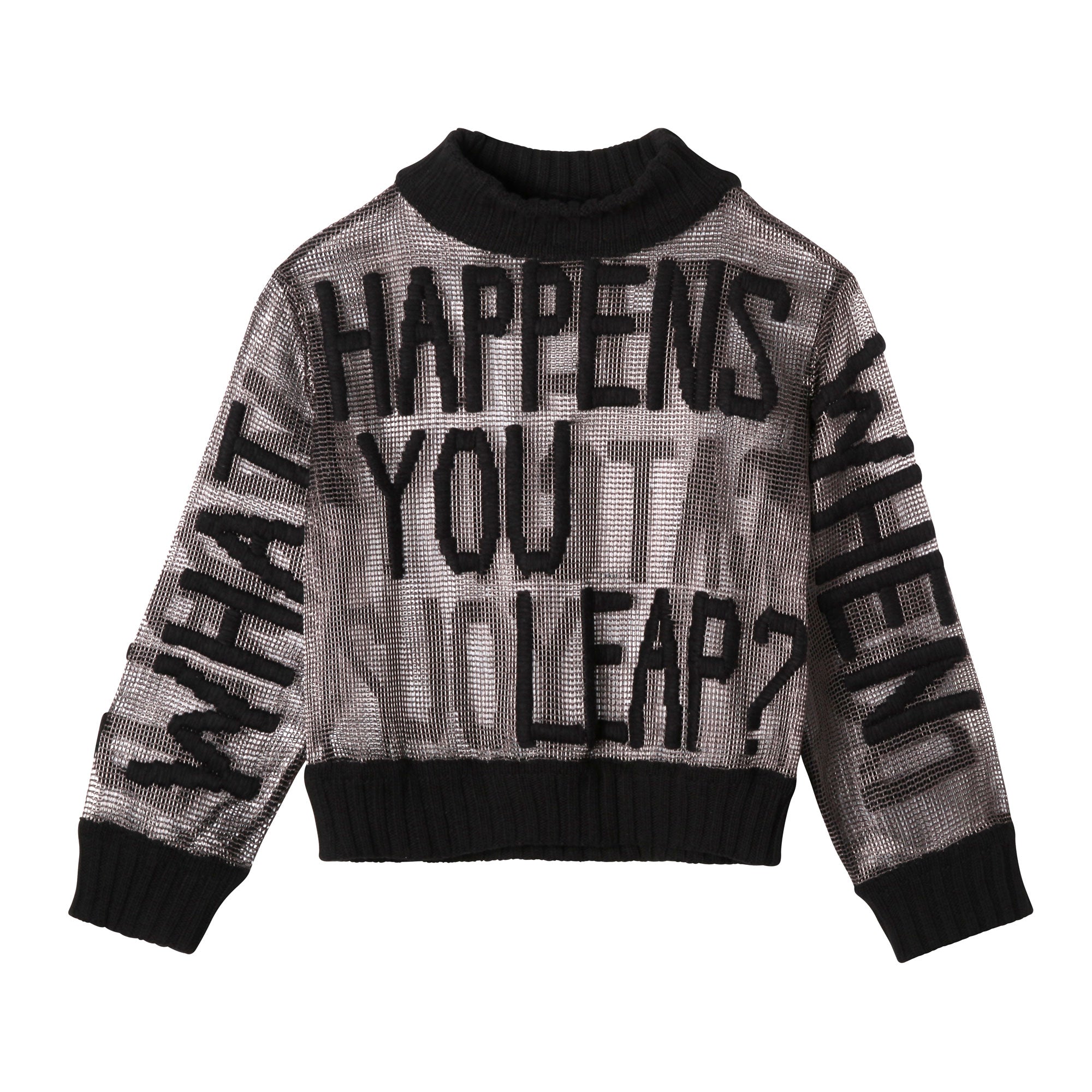 What Happens When You Leap? Hand Embroidered Sweater